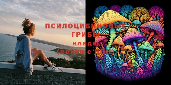 дживик Россошь