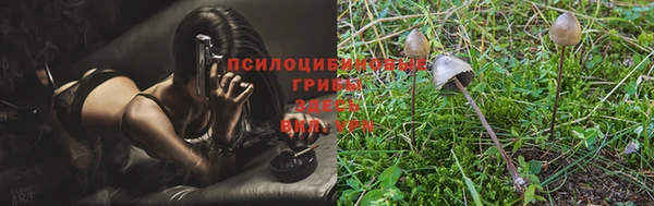 дурь Алексеевка